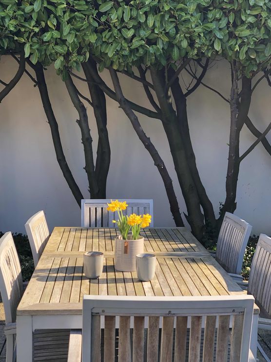 Bild von Bungalow1970 Bild von Bungalow1970