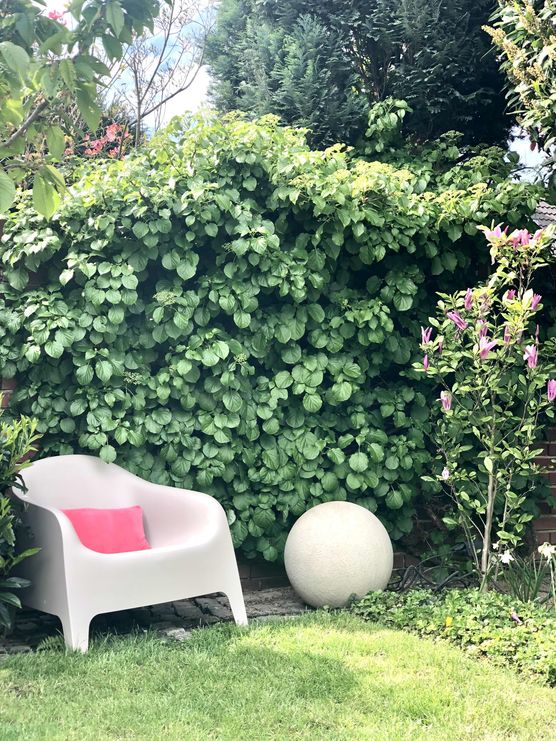 Bild von Bungalow1970 Bild von Bungalow1970