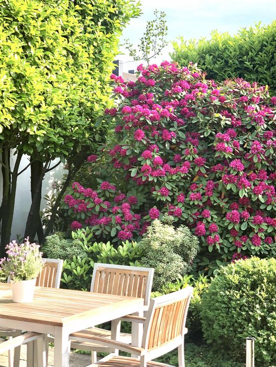 Bild von Bungalow1970 Bild von Bungalow1970