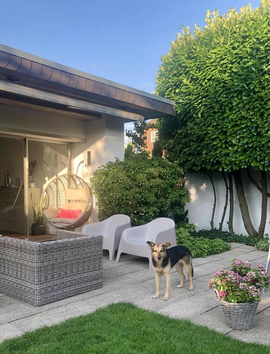 Bild von Bungalow1970 Bild von Bungalow1970