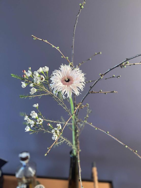 Bild von mareemonti Bild von mareemonti