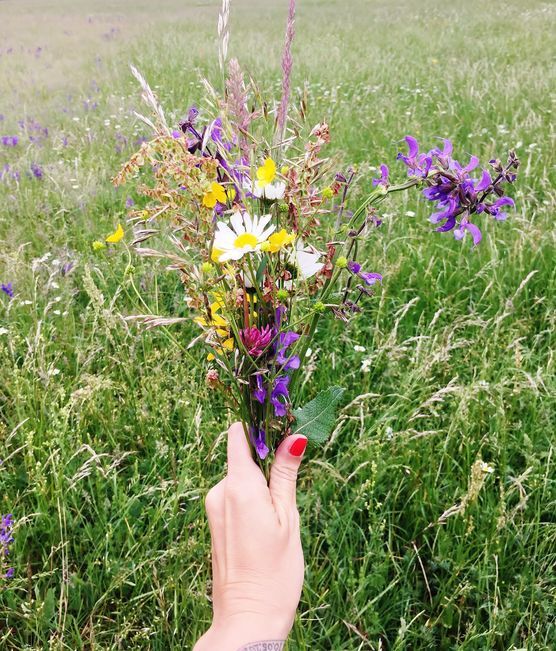 Mit dem Wetterumschwung vor Mit dem Wetterumschwung vor