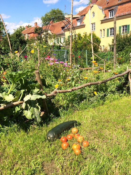 Grüne Oase Grüne Oase