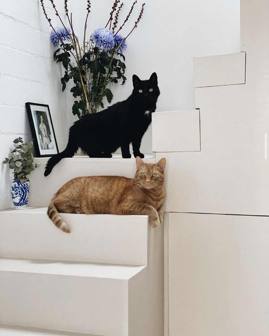 Bild von lau.sch Bild von lau.sch