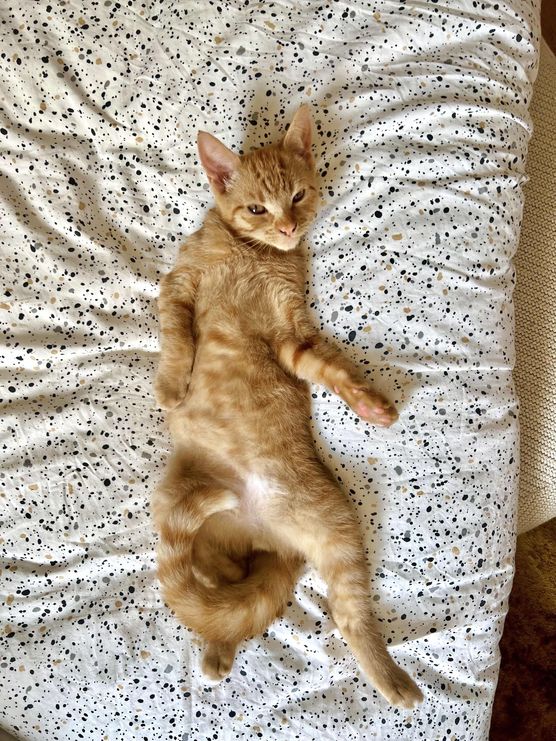 Bild von lau.sch Bild von lau.sch