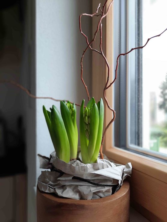 Bild von Magdalena Ettl Bild von Magdalena Ettl