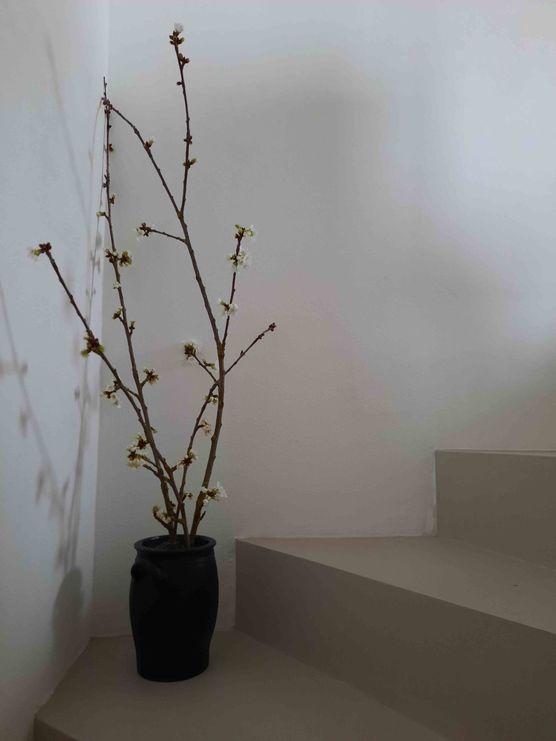 Bild von Magdalena Ettl Bild von Magdalena Ettl