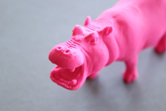 Mein neuer Freund! Mein neuer Freund!