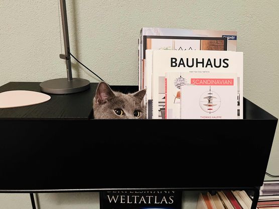 Bild von Ka0807 Bild von Ka0807