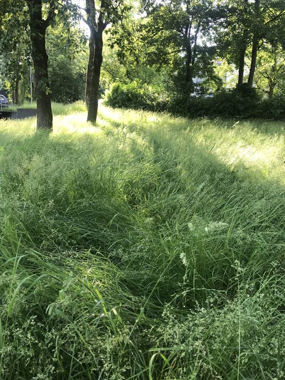 Ich glaub es ist Ich glaub es ist