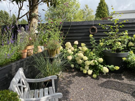 So wenig sich der So wenig sich der