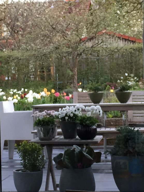 Lieblingsplatz abends vom Sessel aus geknipst ! Lieblingsplatz abends vom Sessel aus geknipst !