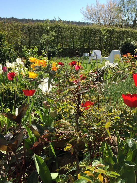 Ich habe den Durchblick ;-) Ich habe den Durchblick ;-)