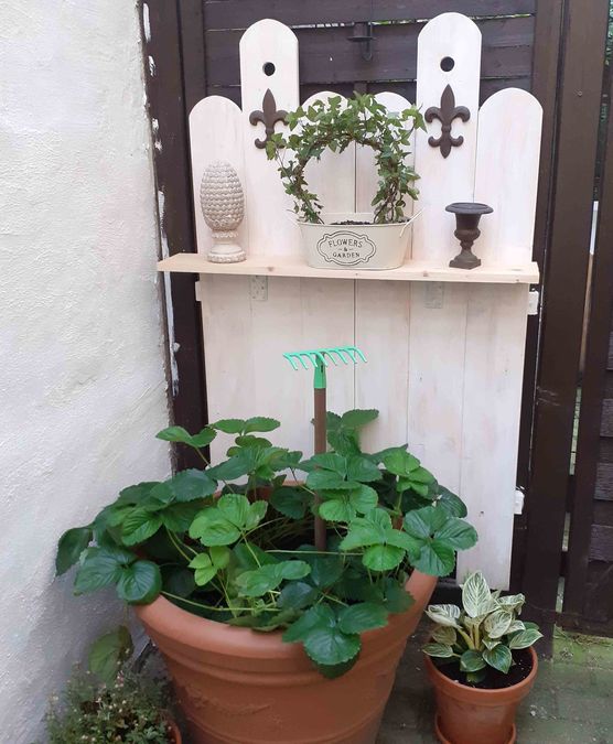 Bild von sajuma Bild von sajuma