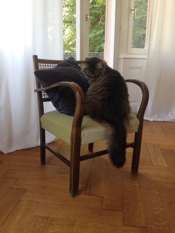 Da lässt man kurz die Wohnungstür auf... Da lässt man kurz die Wohnungstür auf...