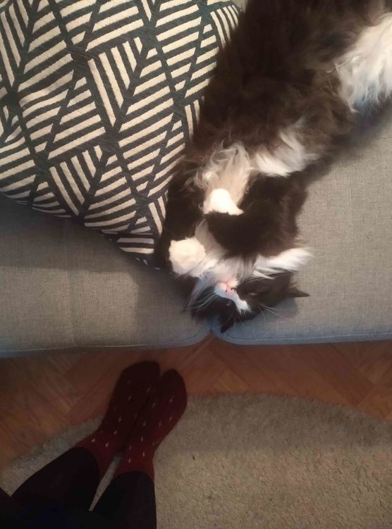 Bild von sarahp91 Bild von sarahp91