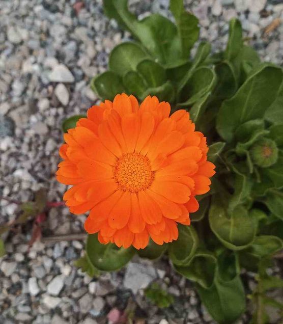 Bild von sarahp91 Bild von sarahp91