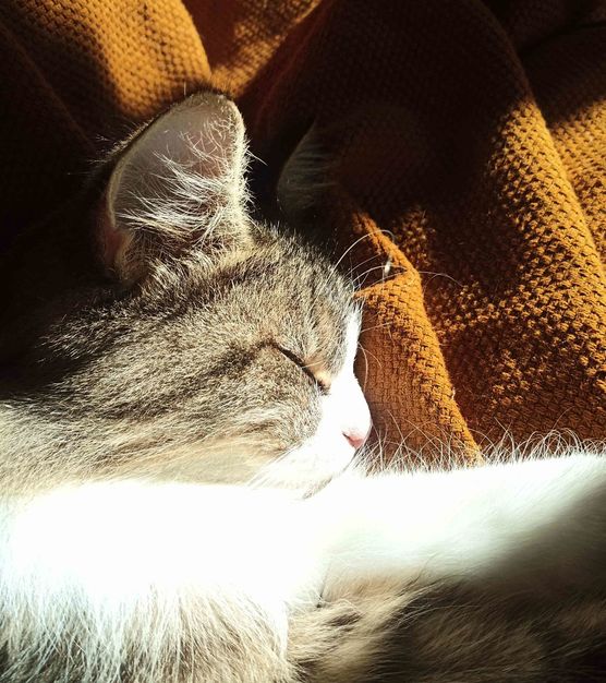 Bild von sarahp91 Bild von sarahp91