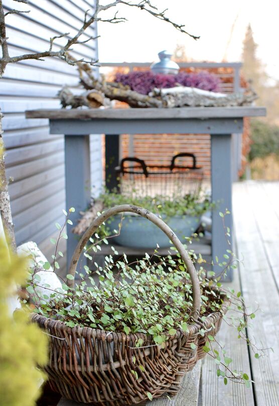 Eng verdrahtet und gut Eng verdrahtet und gut