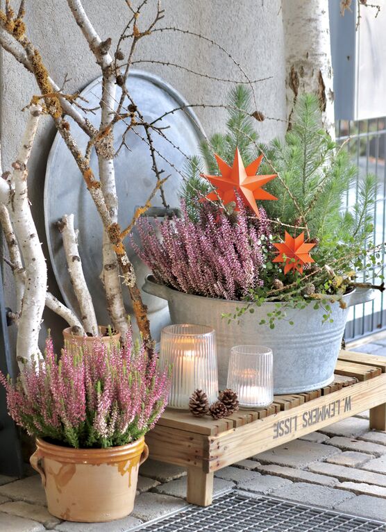 Der zweite Stern ist Der zweite Stern ist