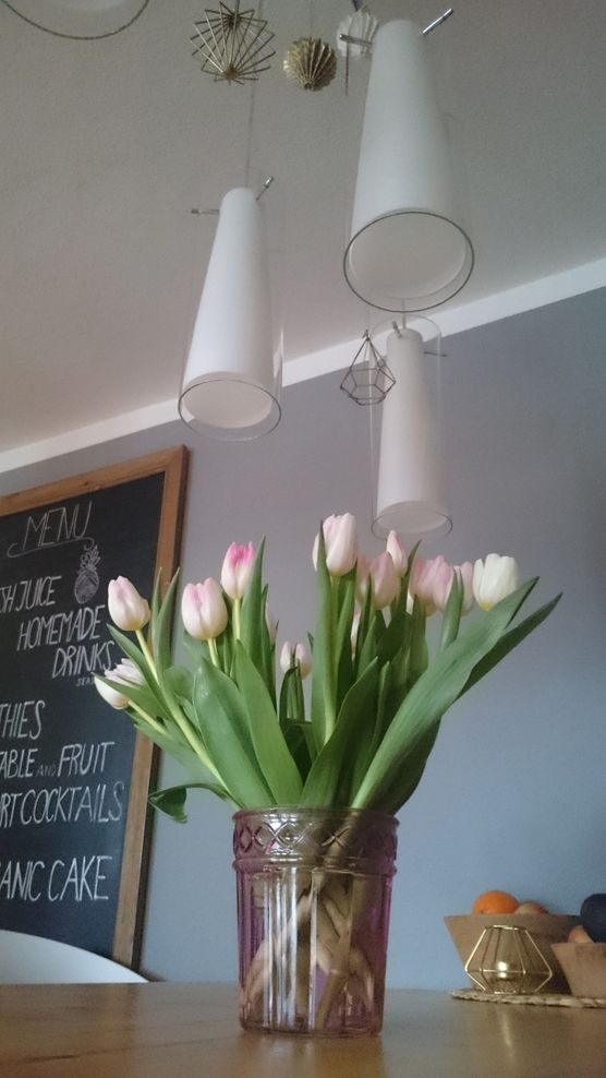 Erster Frühlingsbote in Mitten der Winterdeko Erster Frühlingsbote in Mitten der Winterdeko