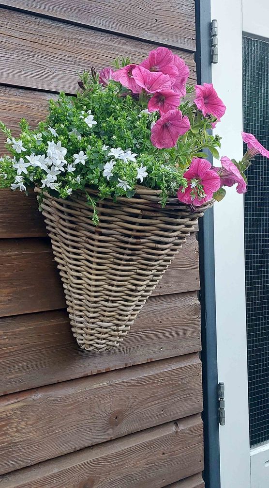 Bild von Birgit Koene Bild von Birgit Koene