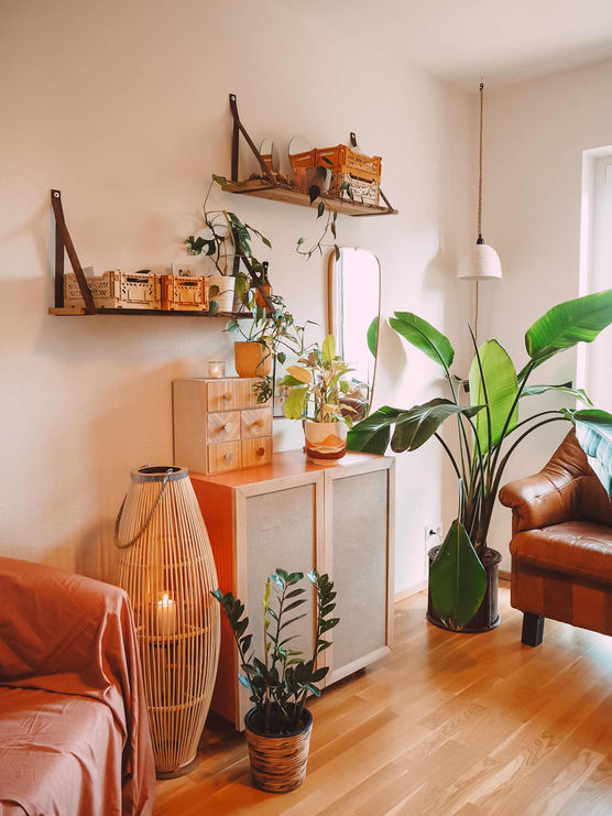 Bild von casakess Bild von casakess