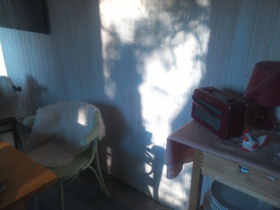 Endlich Sonne:kissing_heart: Endlich Sonne:kissing_heart: