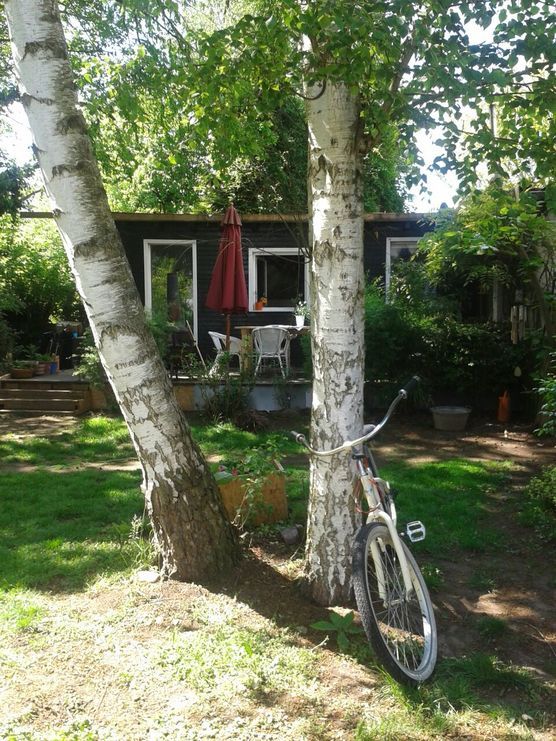 Wir lieben es.....:purple_heart: Wir lieben es.....:purple_heart: