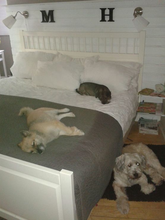 Satt gesehen..... Satt gesehen.....