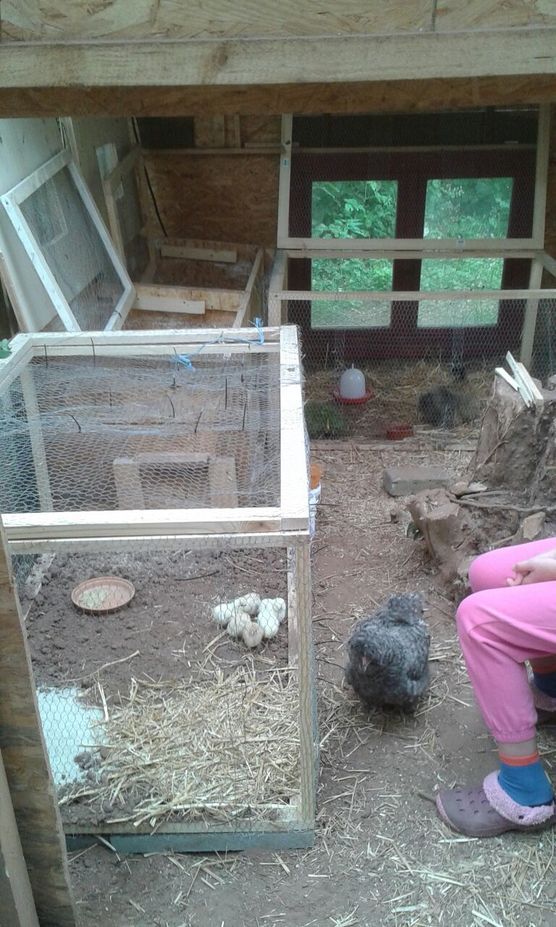 Noch mehr KUEKEN....... Noch mehr KUEKEN.......