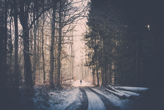 Waldspaziergang mit Ehemann ❤ Waldspaziergang mit Ehemann ❤