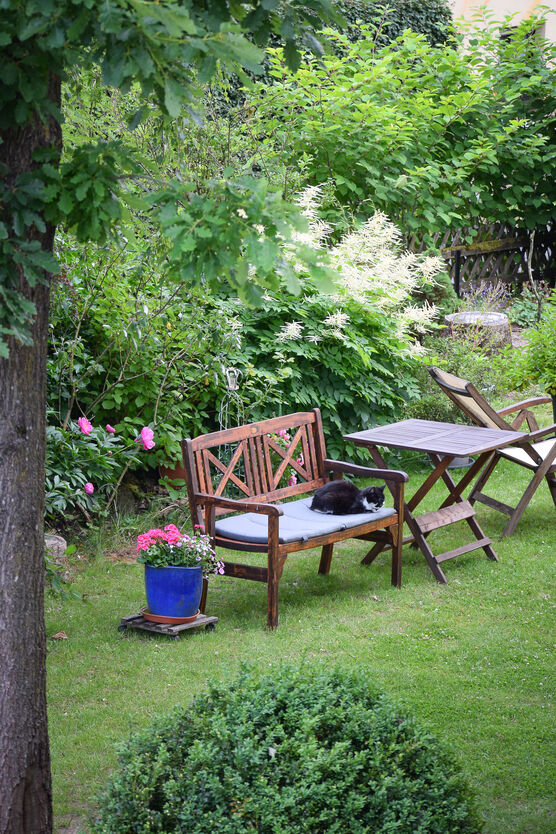 Nebenan bei meinen Schwiegereltern Nebenan bei meinen Schwiegereltern