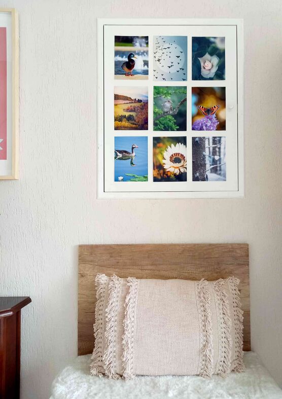 Bild von PeYOUtiFULL Bild von PeYOUtiFULL