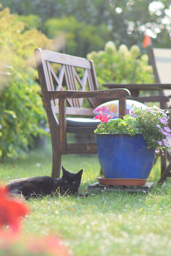 Sommer im Garten inkl. Sommer im Garten inkl.