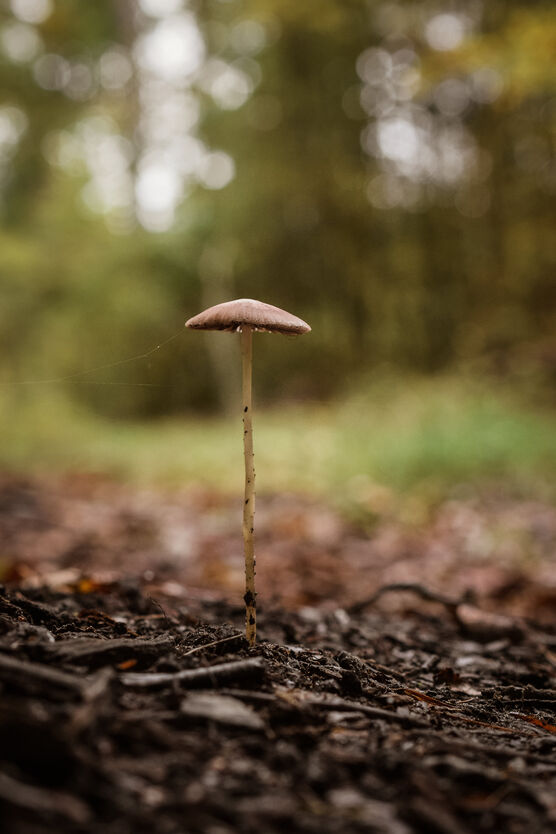 Gestern war ich im Gestern war ich im