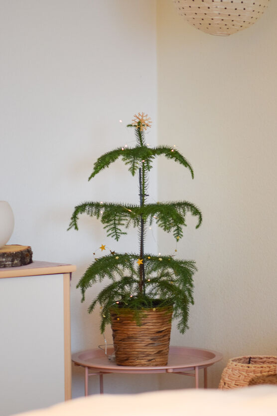 Wir haben keinen richtigen Wir haben keinen richtigen