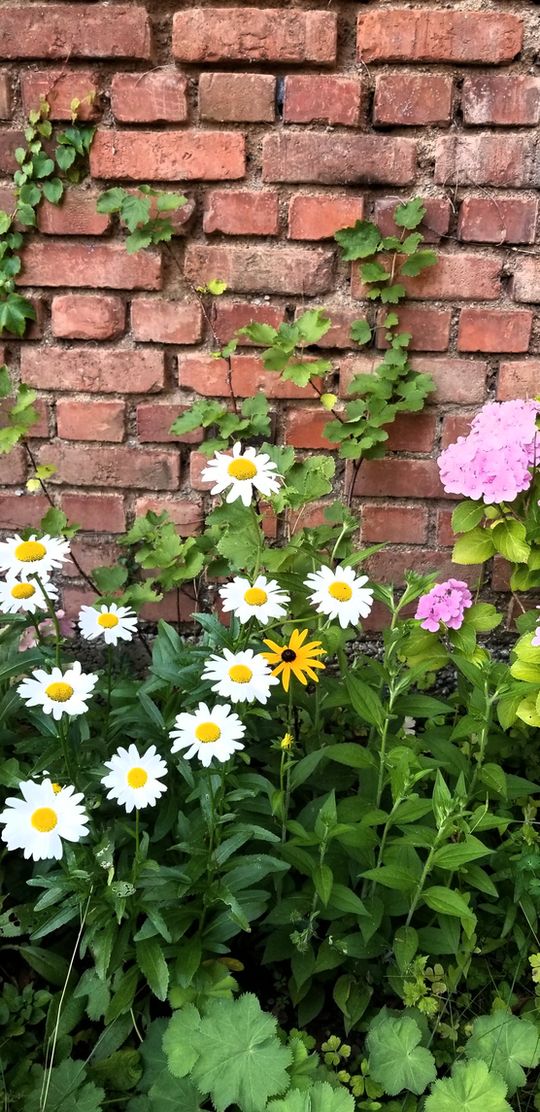 ...hier kommt ein kleiner ...hier kommt ein kleiner