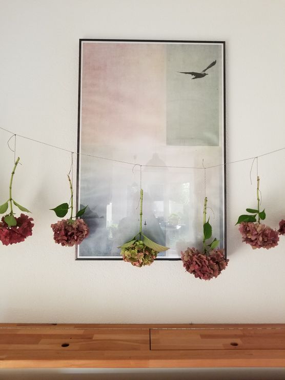 Noch schnell die Hortensien Noch schnell die Hortensien