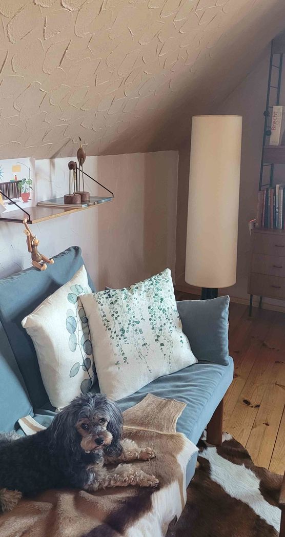 Bild von bettibee Bild von bettibee