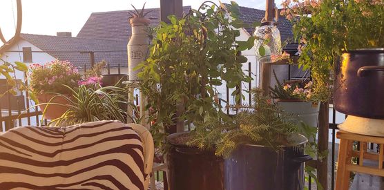 Bild von bettibee Bild von bettibee