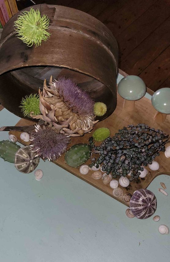 Bild von bettibee Bild von bettibee