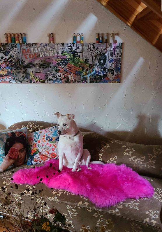 Bild von bettibee Bild von bettibee