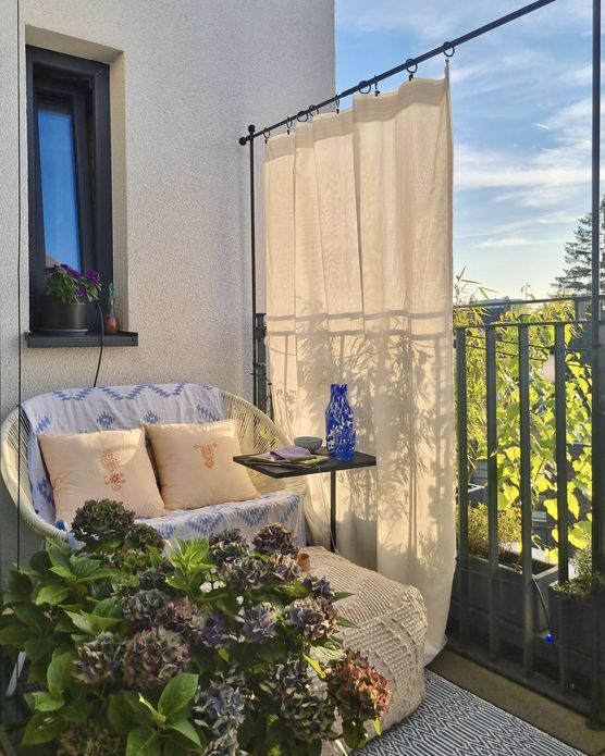 Meine Hortensien sind früh Meine Hortensien sind früh