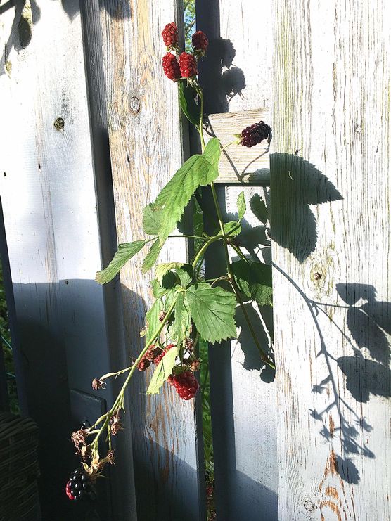 Bild von Nordsüd Bild von Nordsüd