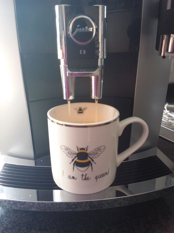 Ganz spontan haben mein Ganz spontan haben mein