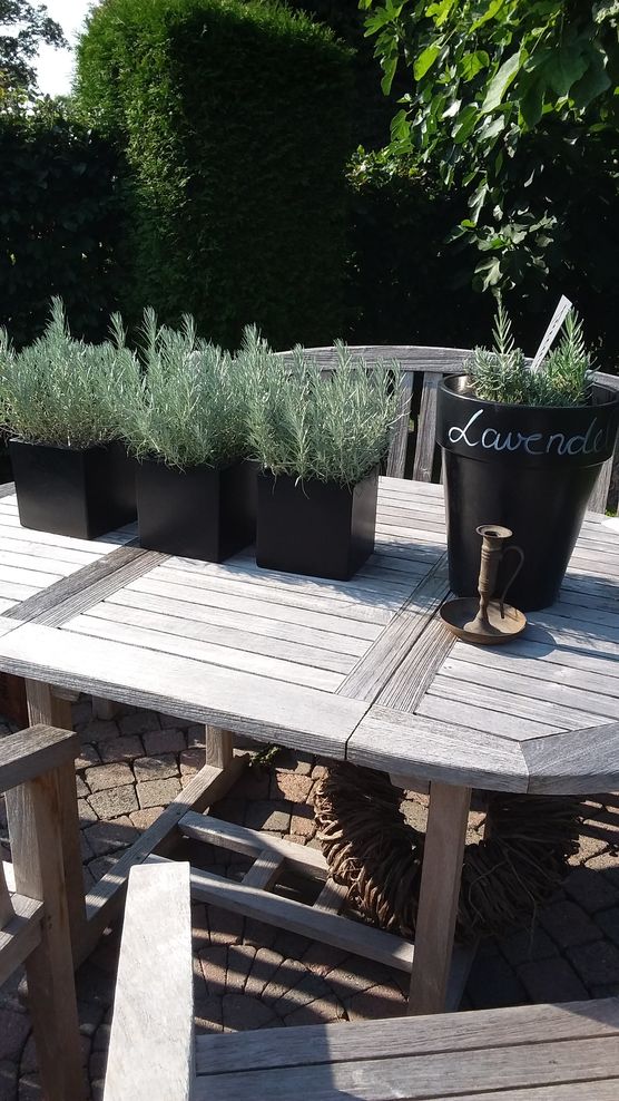 Die Idee den Tontopf Die Idee den Tontopf