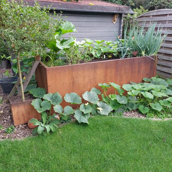 Nachdem der riesige Lorbeerstrauch Nachdem der riesige Lorbeerstrauch