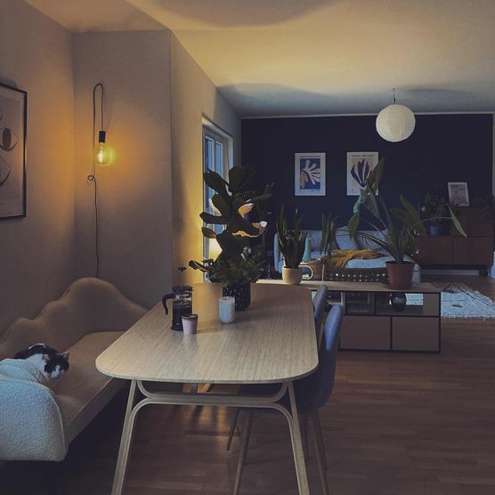 Bild von Lisbert Bild von Lisbert