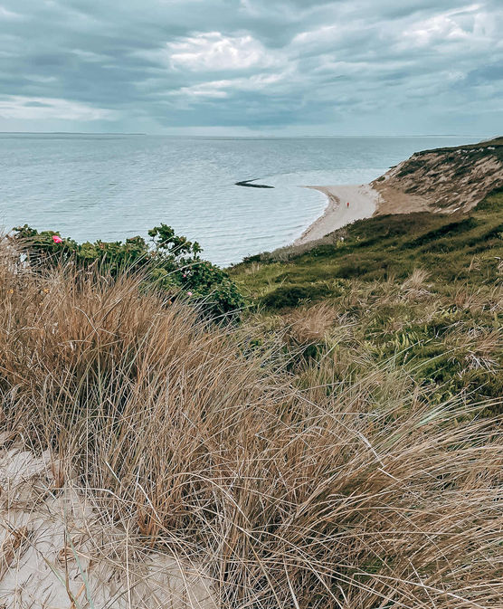 Bild von Lisarie Bild von Lisarie